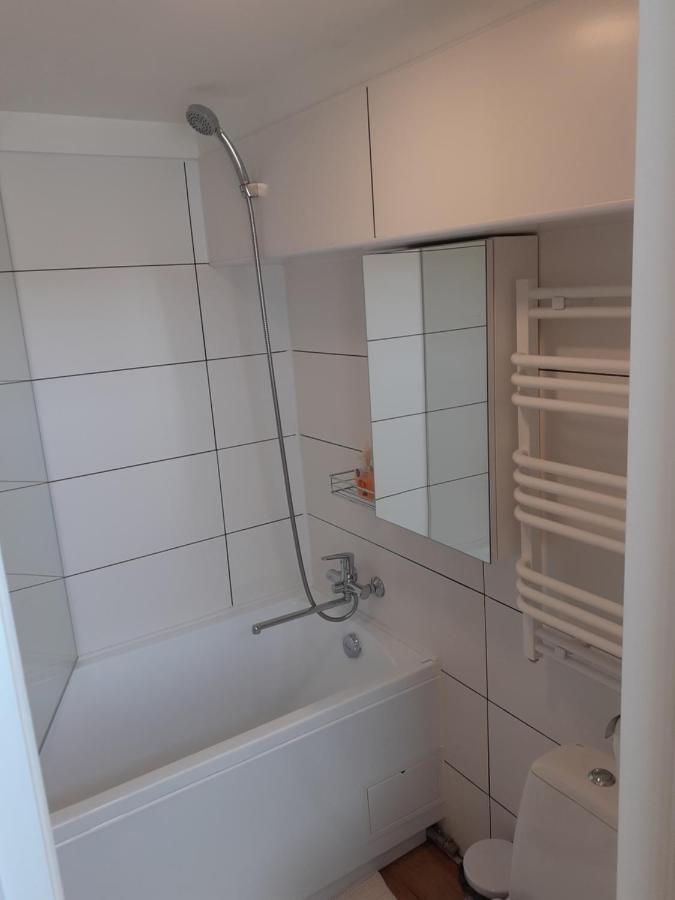 Lovely 1-Bedroom Apartment In Kaunas Old Town Eksteriør billede